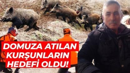 Domuz avında kazara vurulan yaşlı adam yaralandı