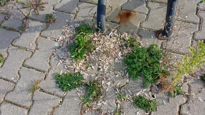 Duyarsızlık yine sınır tanımadı