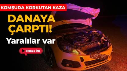Otomobil yola çıkan danaya çarptı: 2 yaralı