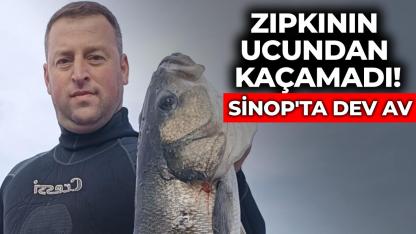Sinop’ta amatör balıkçı zıpkınla 9 kilogramlık levrek avladı