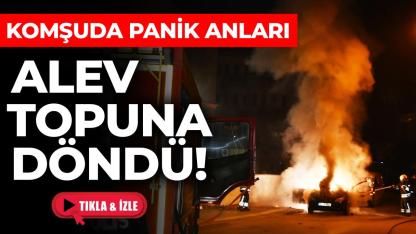 Park halindeki otomobil cayır cayır yandı