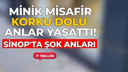 Geldi bir kıyamet, gitti bir kıyamet