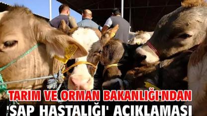 Şap hastalığı kontrol altına alındı mı? Bakanlıktan son dakika açıklaması geldi