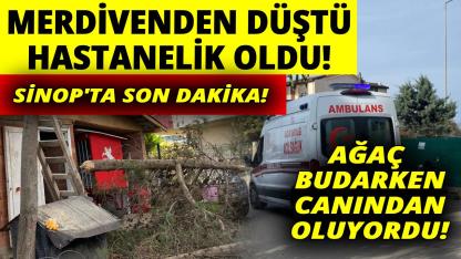 Sinop'ta ağaç budarken merdivenden düşen şahıs hastanelik oldu