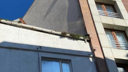 Sinop'ta bakımsız oluklar dikkat çekti