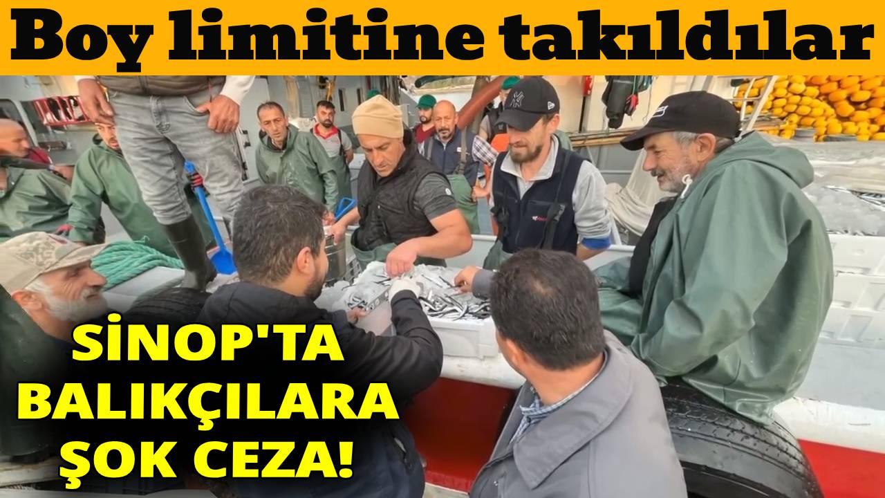 Sinop'ta balık boy limitine uymayanlara ceza yağdı!