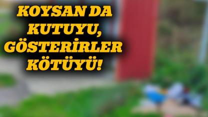 Sinop’ta çevre bilinci sınıfta kaldı