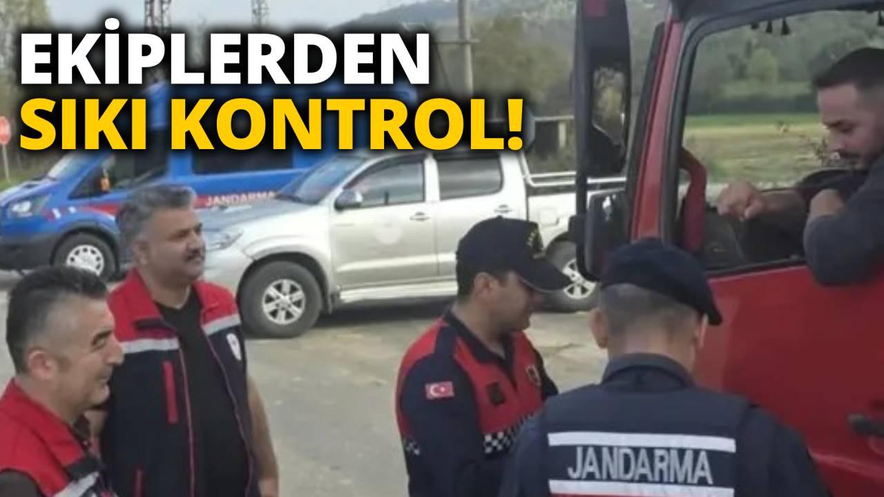 Sinop'ta hayvan nakillerine Jandarmalı kontrol