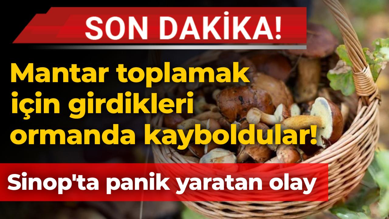 Sinop&#039;ta mantar toplayıcısı kayboldu! Ekipler harekete geçti