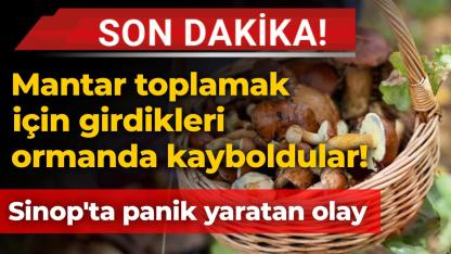 Sinop'ta mantar toplayıcıları kayboldu! Ekipler harekete geçti