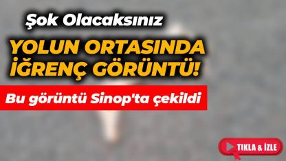 Sinop'ta medeniyetten uzak görüntü! Hayvan derisi yolun ortasında