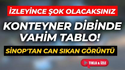 Sinop'ta pes dedirten ayıp! Konteyner yanı çöplük oldu