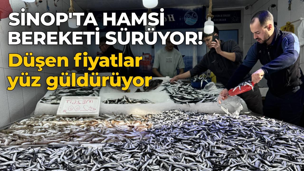 Sinop&#039;ta tezgahlar hamsiyle doldu taştı! Fiyatı yüz güldürüyor
