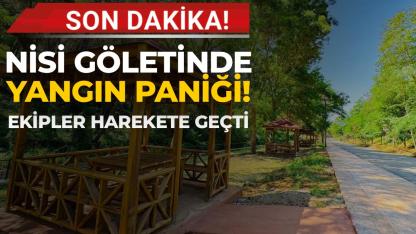 Sinop'ta yangın ihbarı ekipleri harekete geçirdi