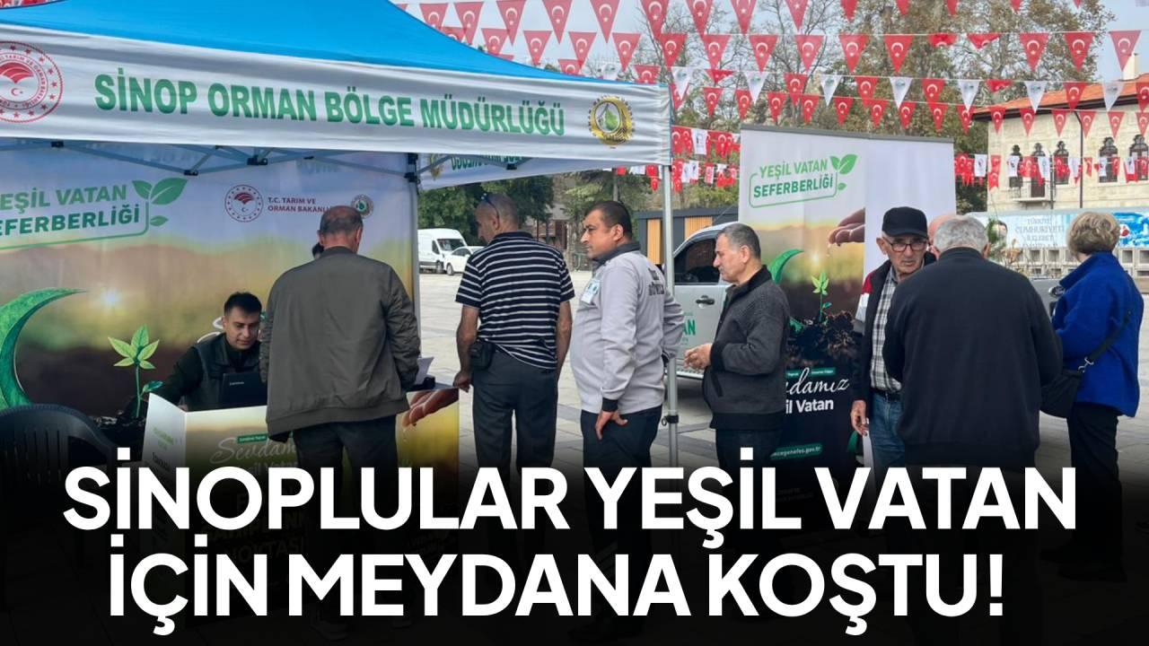 Sinop’ta “Yeşil Vatan Seferberliği” kapsamında vatandaşlara fidan dağıtıldı