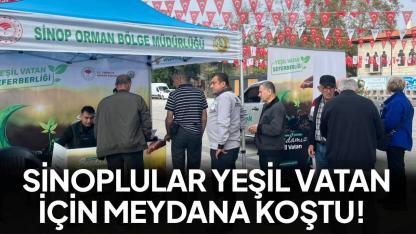 Sinop’ta “Yeşil Vatan Seferberliği” kapsamında vatandaşlara fidan dağıtıldı