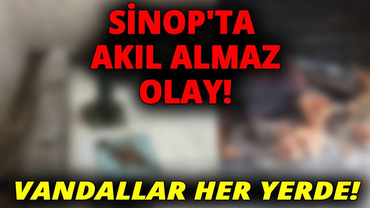 Sinop&#039;ta yine bir utanç tablosu!