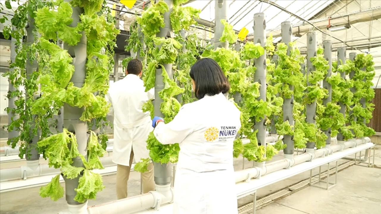 TENMAK, yiyeceklerin raf ömrünü uzatan gıda teknolojisi geliştiriyor