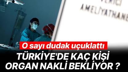 Türkiye'de kaç kişi organ nakli bekliyor? Şok edici rakam açıklandı