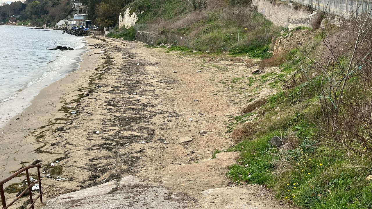 Basın gördü, çöpler gitti