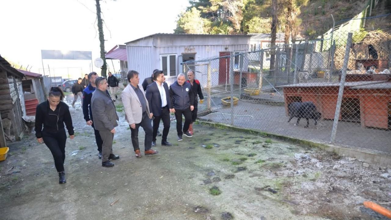 Başkan Şahin ve Kaymakam Kandemir barınağı ziyaret etti