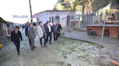 Başkan Şahin ve Kaymakam Kandemir barınağı ziyaret etti