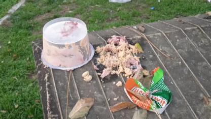 Boyabat’ta çevreyi kirletenlere af yok