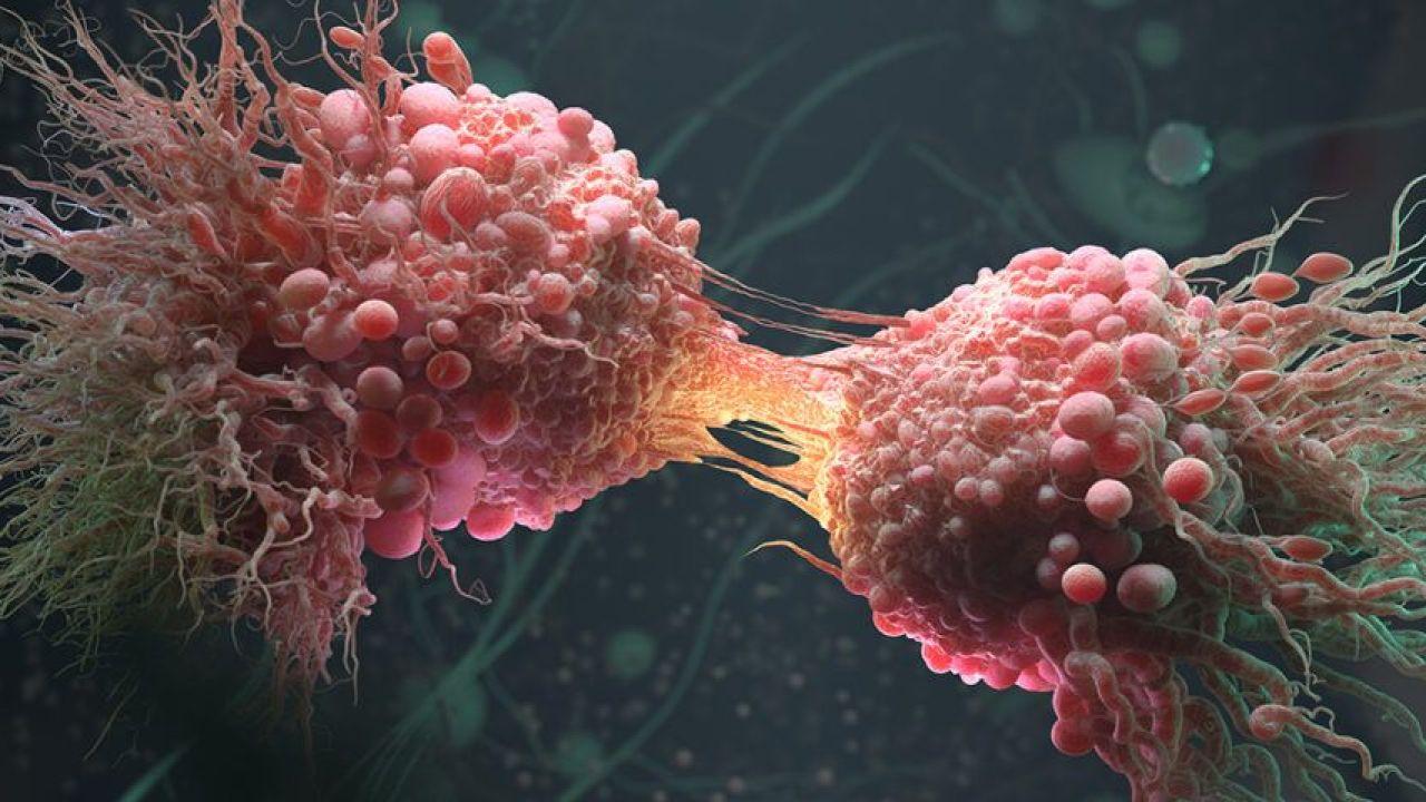 Kadın sağlığında kritik mesaj