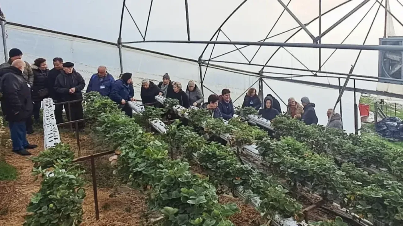 Kıdemli gençler topraksız tarımı yerinde inceledi