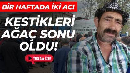 Komşuda acı olay! Ağaç kesimi felakete dönüştü