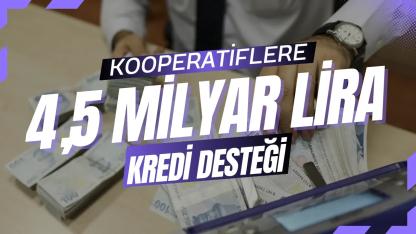 Kooperatiflere nefes aldıran destek