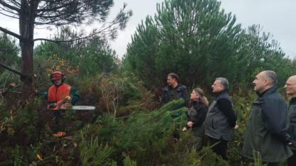 Orman Genel Müdür Yardımcısı Çetiner, Sinop’ta incelemelerde bulundu