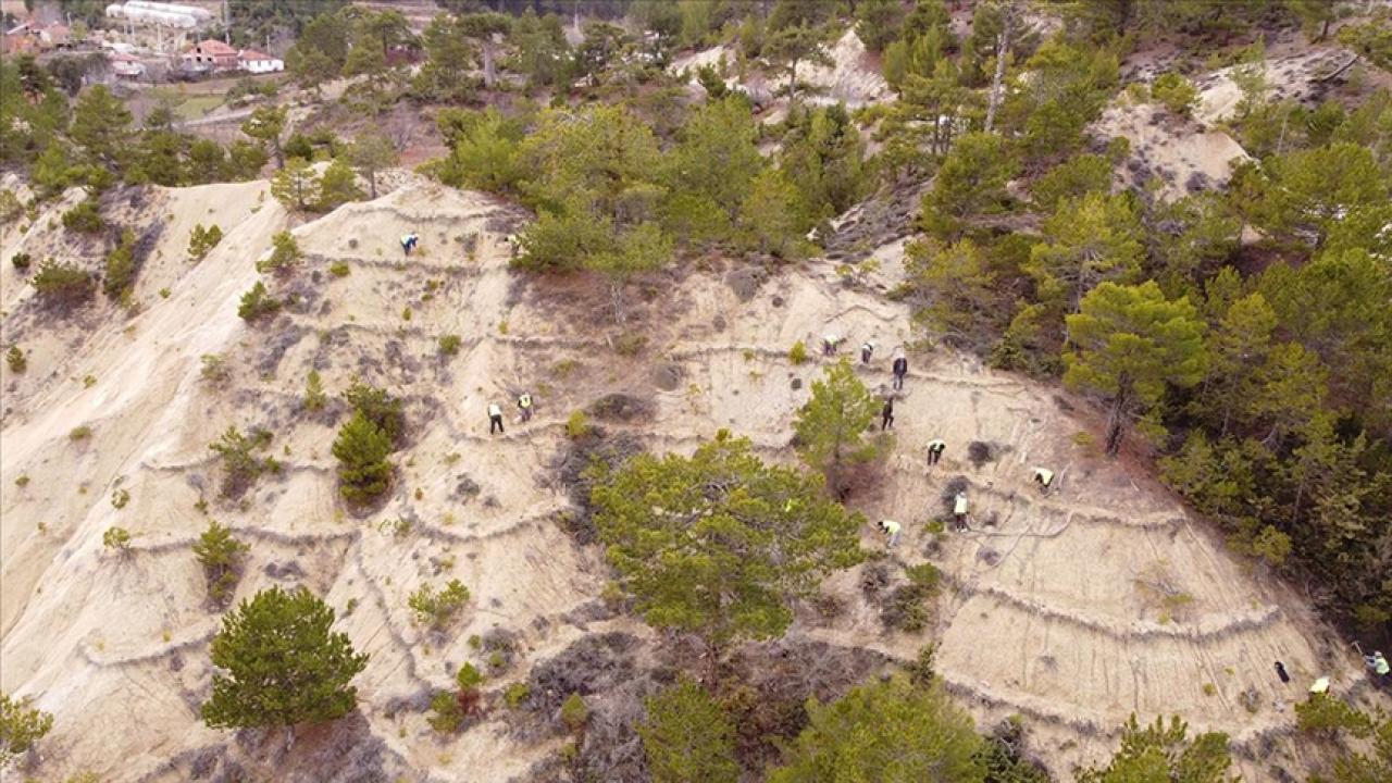 Orman işçileri erozyona karşı da sahada