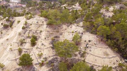 Orman işçileri erozyona karşı da sahada