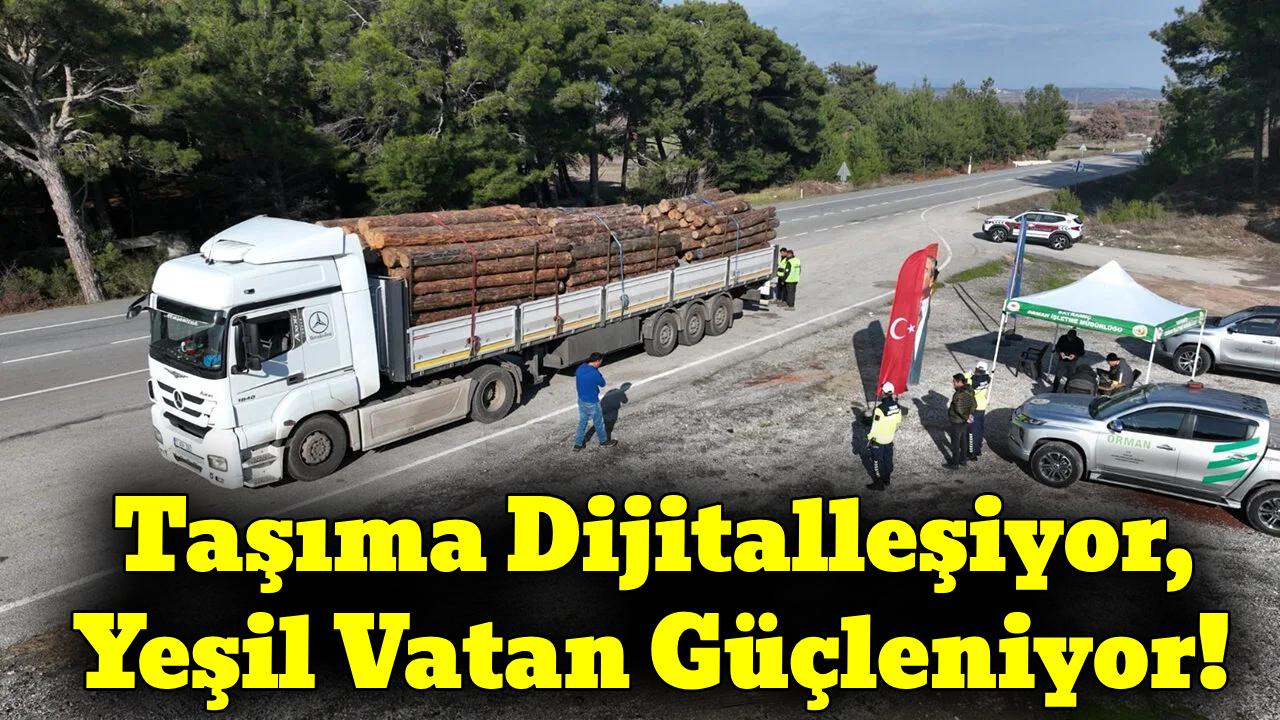 Orman Ürünleri Taşımacılığında Yeni Dönem