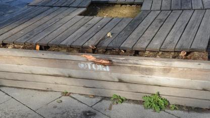 Sinop'un en işlek noktasında kabul edilemez manzara