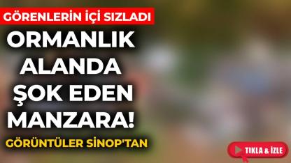 Yoldan geçen oraya sallamış