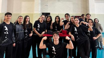 Türkeli Anadolu Lisesi’nden 5 il birinciliği