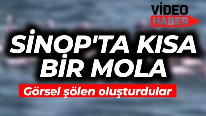 Göç yolundaki Flamingolar Demirci köyü'nde mola verdi