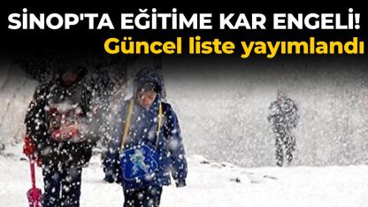 Sinop'ta eğitime kar engeli: İşte taşımalı eğitimin durdurulduğu ilçeler
