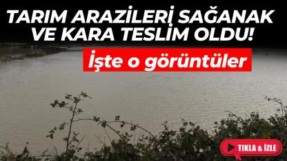 Sinop'ta tarım arazileri su altında kaldı