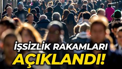 Kasım ayı işsizlik rakamları açıklandı