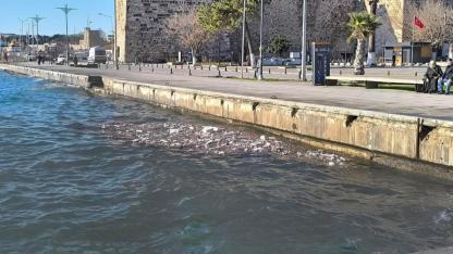 Sinop'ta kahreden görüntü: Yıllar geçse de bu görüntü değişmiyor