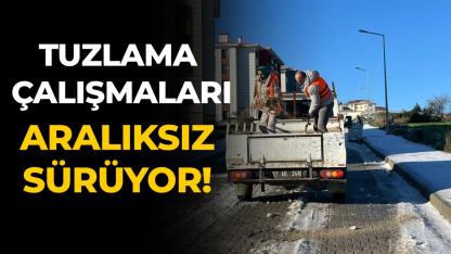 Sinop Belediyesi'nden tuzlama çalışması