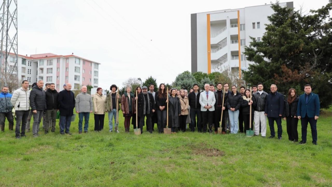 Sinop Üniversitesi kampüsüne kestane fidanları dikildi