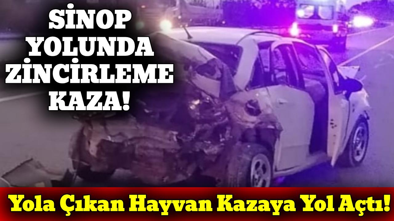 Sinop yolunda zincirleme kaza: Yaralılar var