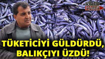 Sinoplu balıkçılar sezon devam ederken dert yandı