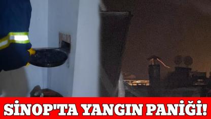 Sinop'ta baca yangını ekipleri harekete geçirdi