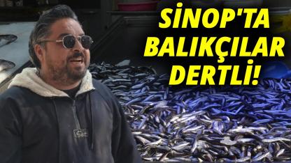Sinop’ta balıkçılar sezonun zorluklarını anlattı