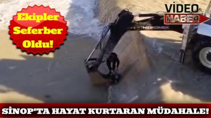 Sinop'ta can kurtarma operasyonu